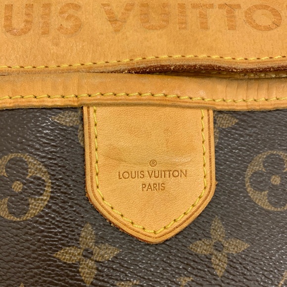 ✨ Louis Vuitton Delightful MM Handbag✨ - Picture 2 of 16